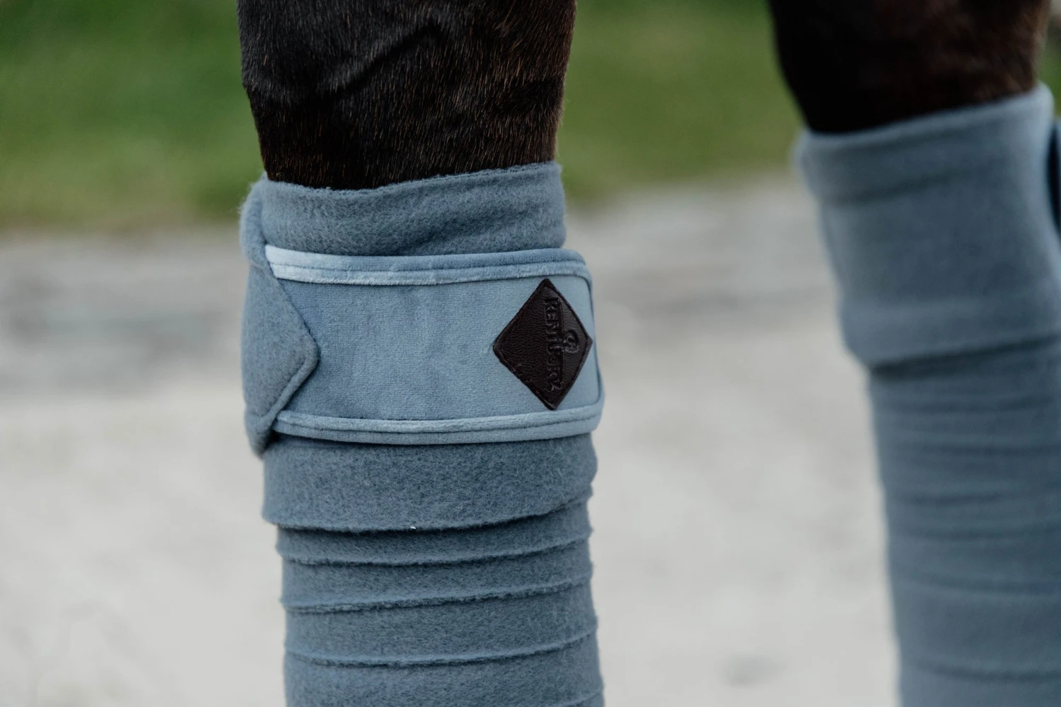 Kentucky Velvet Bandages Light Blue 2 Kentucky Velvet Bandages Light Blue - Image 2