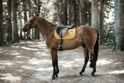 Kentucky Velvet Jump Saddle Pad Mustard 5 Kentucky Velvet Jump Saddle Pad Mustard -Equestrian Supplies 28ace8e79ed03ab53f927f84ca81637d0ef484e5a87bd35182d57a0fcfcebd8b