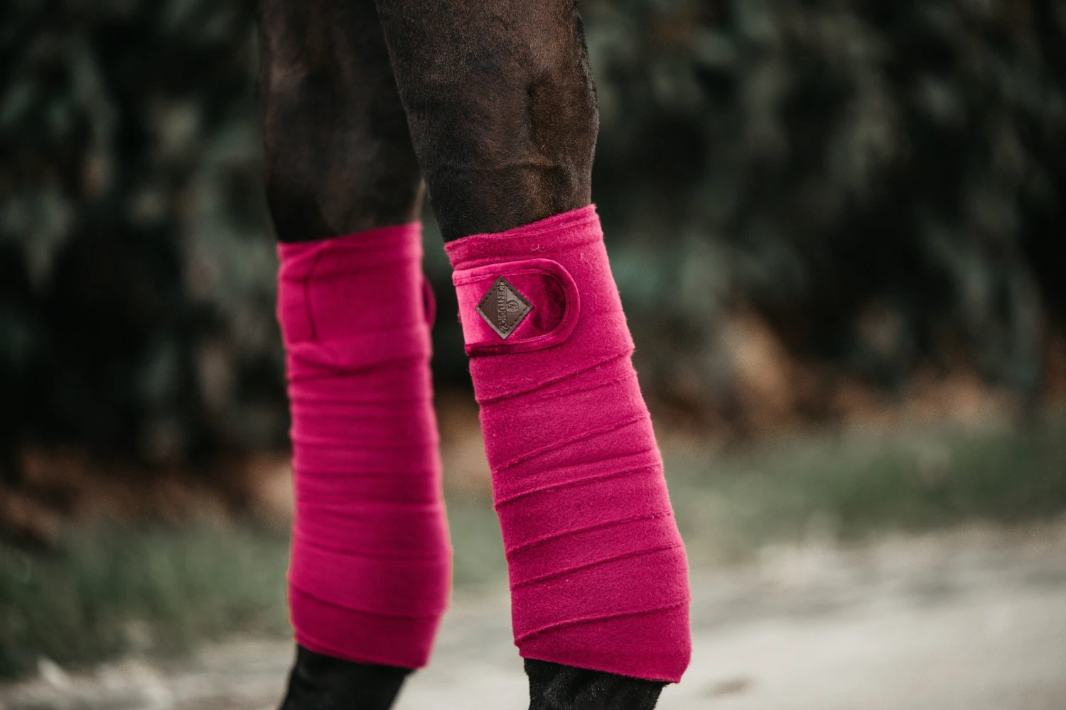 Kentucky Velvet Bandages Fuchsia 2 Kentucky Velvet Bandages Fuchsia - Image 2