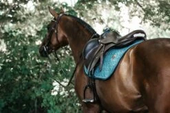 Kentucky Velvet Jump Saddle Pad Emerald 7 Kentucky Velvet Jump Saddle Pad Emerald -Equestrian Supplies 3e682ab3f977aec7d4b40da505e6d352a23e09a0cbef94e875de8329a25da876