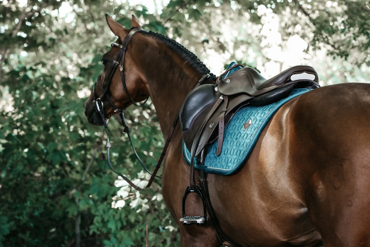 Kentucky Velvet Jump Saddle Pad Emerald 4 Kentucky Velvet Jump Saddle Pad Emerald - Image 4
