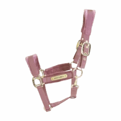 Kentucky Horsewear Velvet Halter Old Rose