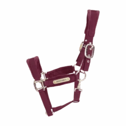 Kentucky Horsewear Velvet Halter Bordeaux 7 Kentucky Horsewear Velvet Halter Bordeaux -Equestrian Supplies 42558 17 e8502ded370e565d04389cf2c54c4715 article photobook crop