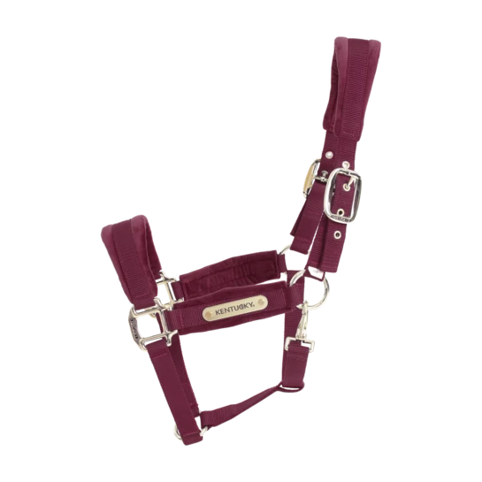 Kentucky Horsewear Velvet Halter Bordeaux 4 Kentucky Horsewear Velvet Halter Bordeaux - Image 4