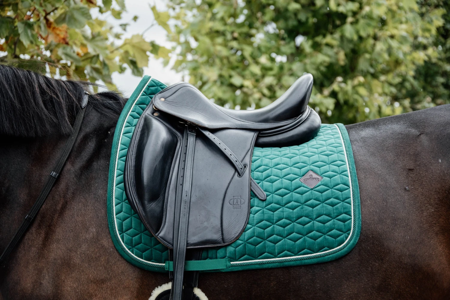 Kentucky Velvet Dressage Saddle Pad Dark Green 2 Kentucky Velvet Dressage Saddle Pad Dark Green - Image 2