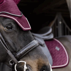 Kentucky Velvet Wellington Ear Bonnet Bordeaux 7 Kentucky Velvet Wellington Ear Bonnet Bordeaux -Equestrian Supplies 485a5186 e8502ded370e565d04389cf2c54c4715 article photobook crop