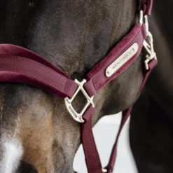 Kentucky Horsewear Velvet Halter Bordeaux 6 Kentucky Horsewear Velvet Halter Bordeaux -Equestrian Supplies 485a7774 e8502ded370e565d04389cf2c54c4715 article photobook crop