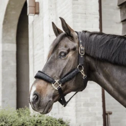 Kentucky Horsewear Glitter Stone Halter Black