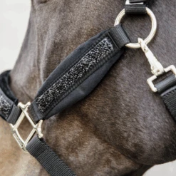 Kentucky Horsewear Glitter Stone Halter Black 7 Kentucky Horsewear Glitter Stone Halter Black -Equestrian Supplies 485a8878 e8502ded370e565d04389cf2c54c4715 article photobook crop