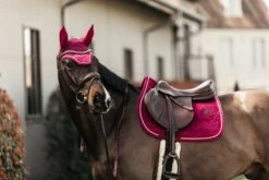 Kentucky Velvet Jump Saddle Pad Fuchsia -Equestrian Supplies 615855b0c9291a0c39cdfdf362eb0a8cc035864c4a05eea4a6f6fe4374410ca4