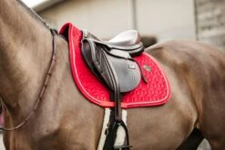 Kentucky Velvet Jump Saddle Pad Red -Equestrian Supplies 724a1d74f5be36473d5e059ab876deaf5ea155482c502b8b860993c514303eea