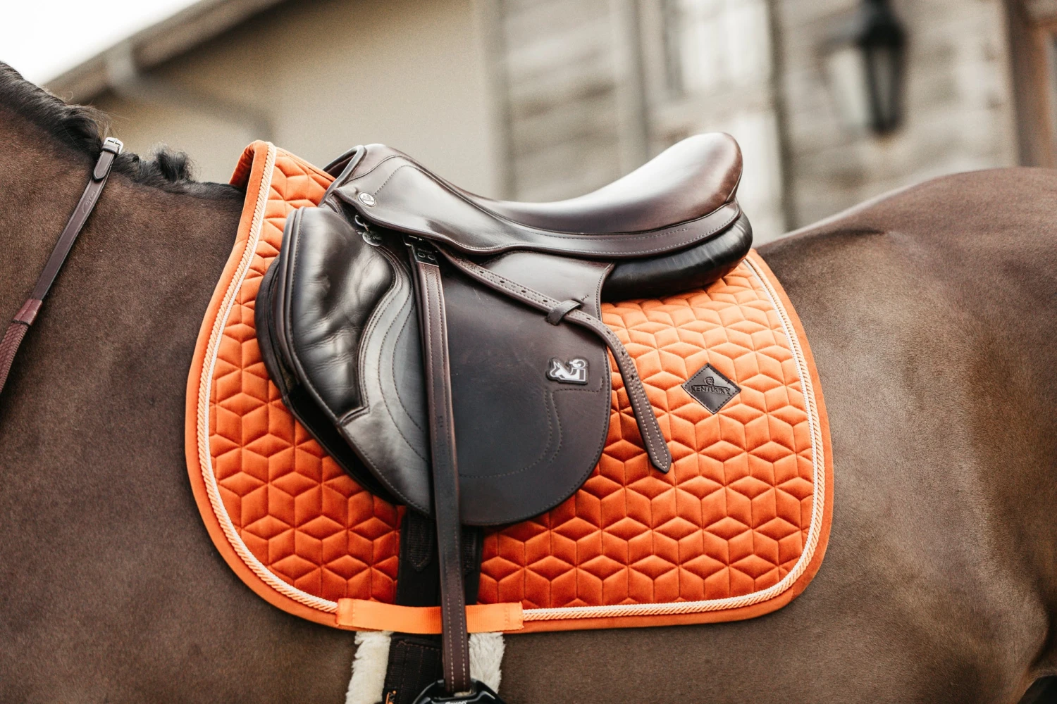 Kentucky Velvet Jump Saddle Pad Orange 2 Kentucky Velvet Jump Saddle Pad Orange - Image 2