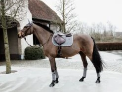 Kentucky Velvet Jump Saddle Pad Grey 5 Kentucky Velvet Jump Saddle Pad Grey -Equestrian Supplies 885d8a39fe115c679f889a3d60d03433a72dc583bb5f20b8bfee231774ff3886