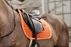 Kentucky Velvet Jump Saddle Pad Orange 9 Kentucky Velvet Jump Saddle Pad Orange -Equestrian Supplies 8c51598d24bc0e6d250dce36cd416a07e9d8d077240d9b97543b843df835ed4c