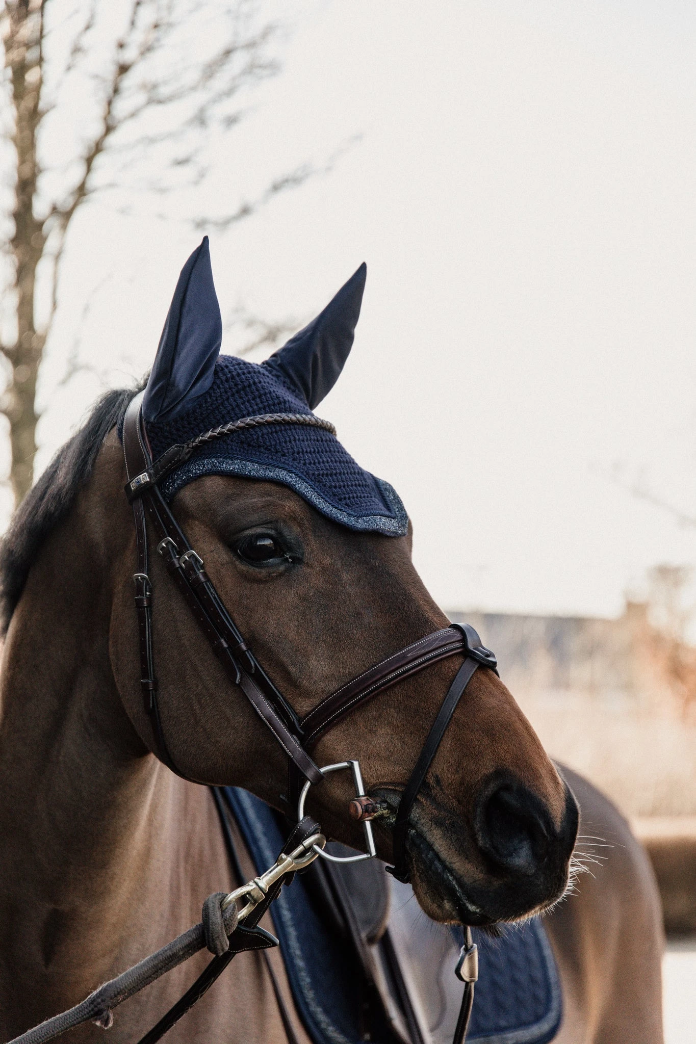 Kentucky Glitter Stone Soundless Wellington Ear Bonnet Dark Navy 3 Kentucky Glitter Stone Soundless Wellington Ear Bonnet Dark Navy - Image 3