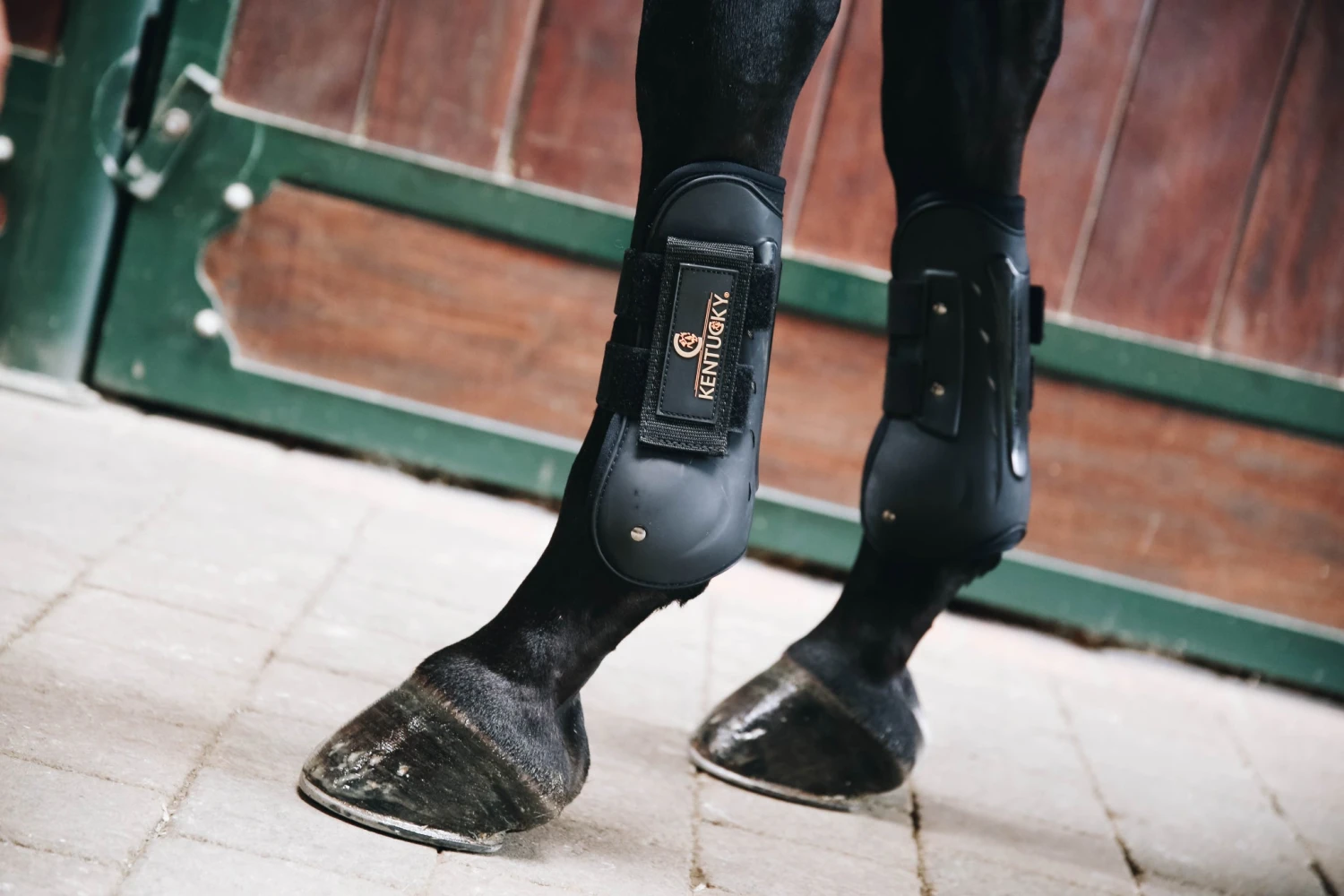 Kentucky Air Tendon Boots Black 2 Kentucky Air Tendon Boots Black - Image 2