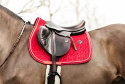 Kentucky Velvet Jump Saddle Pad Red -Equestrian Supplies 8fa34ce762f3ed35fccb5418416940aaef0881a4a9003c1b3b2bb43806894816