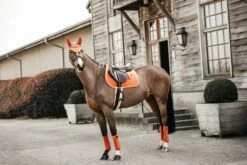 Kentucky Velvet Jump Saddle Pad Orange 11 Kentucky Velvet Jump Saddle Pad Orange -Equestrian Supplies 9268c6f75332e3f9b232595fd14be8f359fa4b51573ebf59397d1a1425cba83a