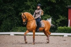 Equestrian Stockholm Dressage Saddle Pad Champagne -Equestrian Supplies DSC 0566