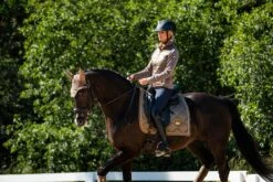 Equestrian Stockholm Dressage Saddle Pad Champagne -Equestrian Supplies DSC 2056