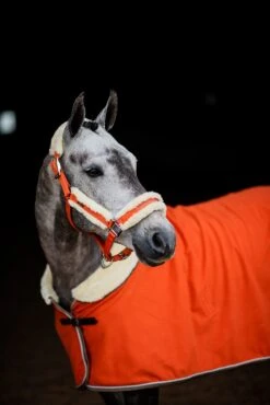 Equestrian Stockholm Fleece Headcollar & Lead Brick Orange -Equestrian Supplies DSC 4614