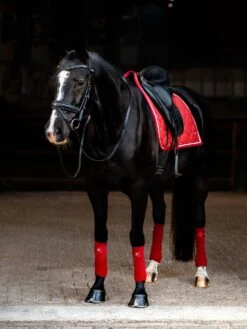 PS Of Sweden Stardust Dressage Saddle Pad Dark Red 8 PS Of Sweden Stardust Dressage Saddle Pad Dark Red -Equestrian Supplies DSC 6457 1