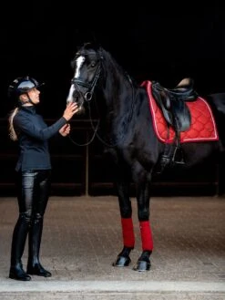 PS Of Sweden Stardust Dressage Saddle Pad Dark Red 9 PS Of Sweden Stardust Dressage Saddle Pad Dark Red -Equestrian Supplies DSC 6532 2