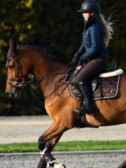 PS Of Sweden Signature Jump Saddle Pad Coffee -Equestrian Supplies DSC 8749 coffee river