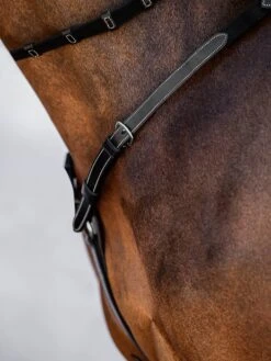 PS Of Sweden Breastplate Melbourne -Equestrian Supplies DSC 9087