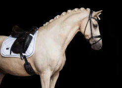 Equestrian Stockholm Bandages White Perfection Silver -Equestrian Supplies Dressage Saddle pad White perfection silver 1