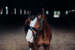 Equestrian Stockholm Ear Bonnet Black Gold 7 Equestrian Stockholm Ear Bonnet Black Gold -Equestrian Supplies MG 0092