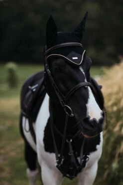 Equestrian Stockholm Ear Bonnet Black Gold 6 Equestrian Stockholm Ear Bonnet Black Gold -Equestrian Supplies MG 2025