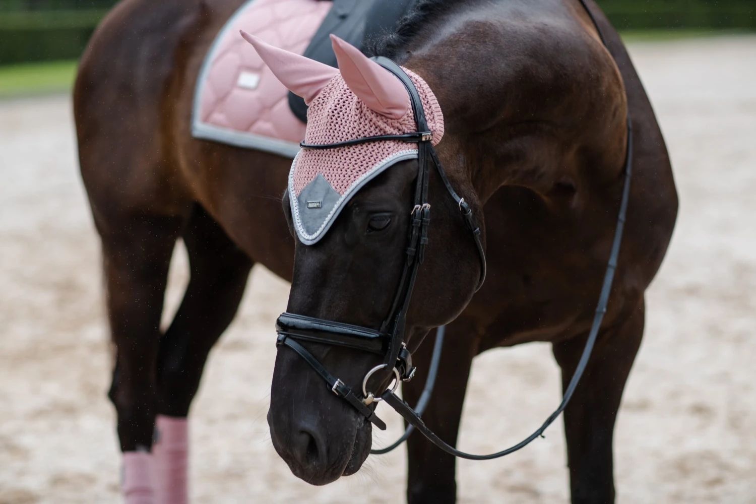 Equestrian Stockholm Ear Bonnet Pink Crystal 2 Equestrian Stockholm Ear Bonnet Pink Crystal - Image 2