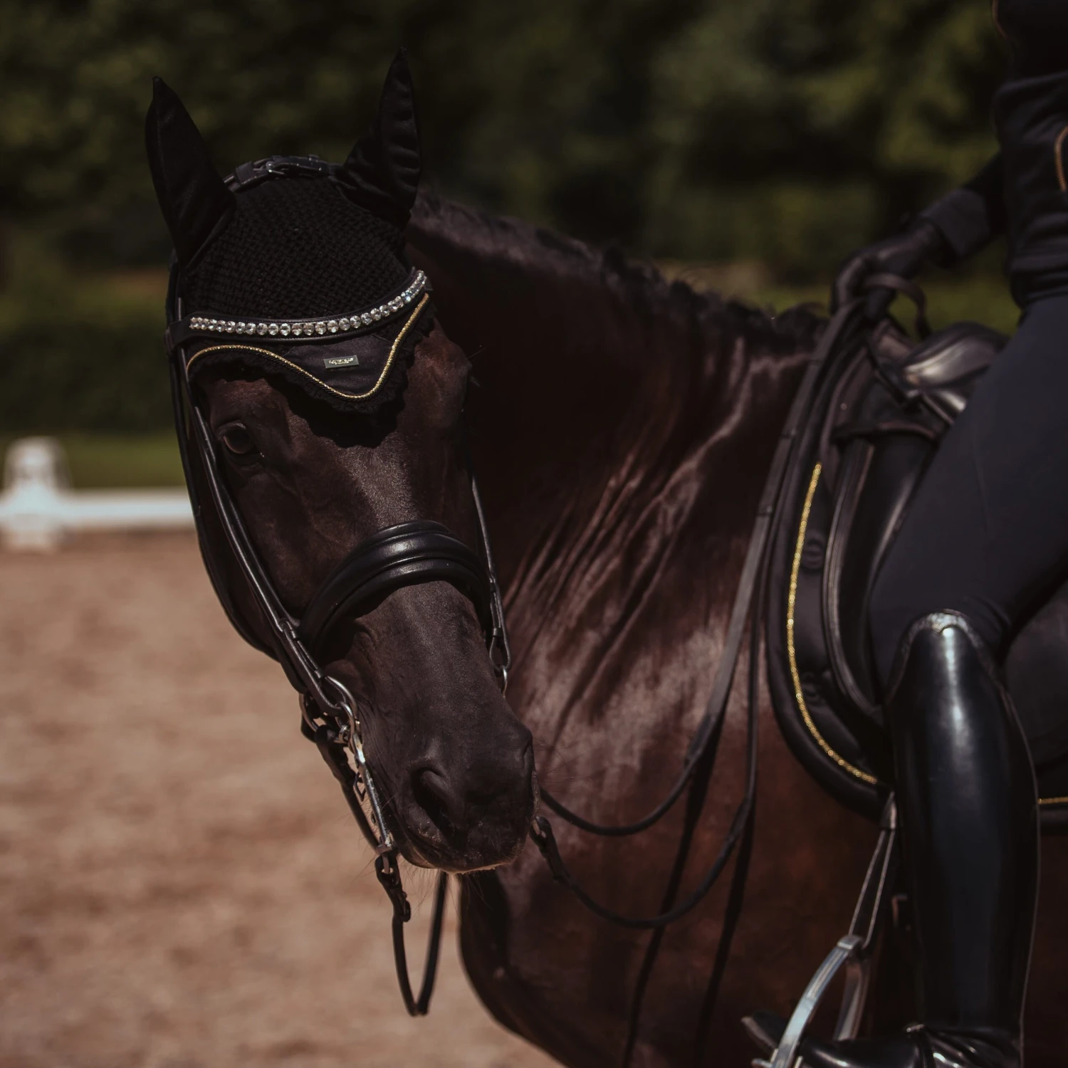 Equestrian Stockholm Ear Bonnet Black Gold 1 Equestrian Stockholm Ear Bonnet Black Gold