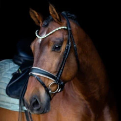 SD Design Be Tempted Browband Peppermint Cake Pop -Equestrian Supplies R 1016 SD Be Tempted browband6 1