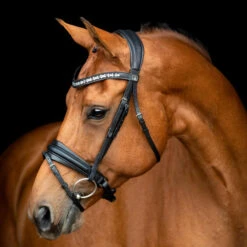 SD Design Vivaldi Browband Clear 9 SD Design Vivaldi Browband Clear -Equestrian Supplies R 1206 SD VIvaldi bridle 1