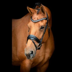 SD Design Vivaldi Browband Clear 8 SD Design Vivaldi Browband Clear -Equestrian Supplies R 1206 SD VIvaldi bridle3 1