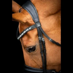 SD Design Vivaldi Browband Clear 10 SD Design Vivaldi Browband Clear -Equestrian Supplies R 1206 SD VIvaldi bridle5 1
