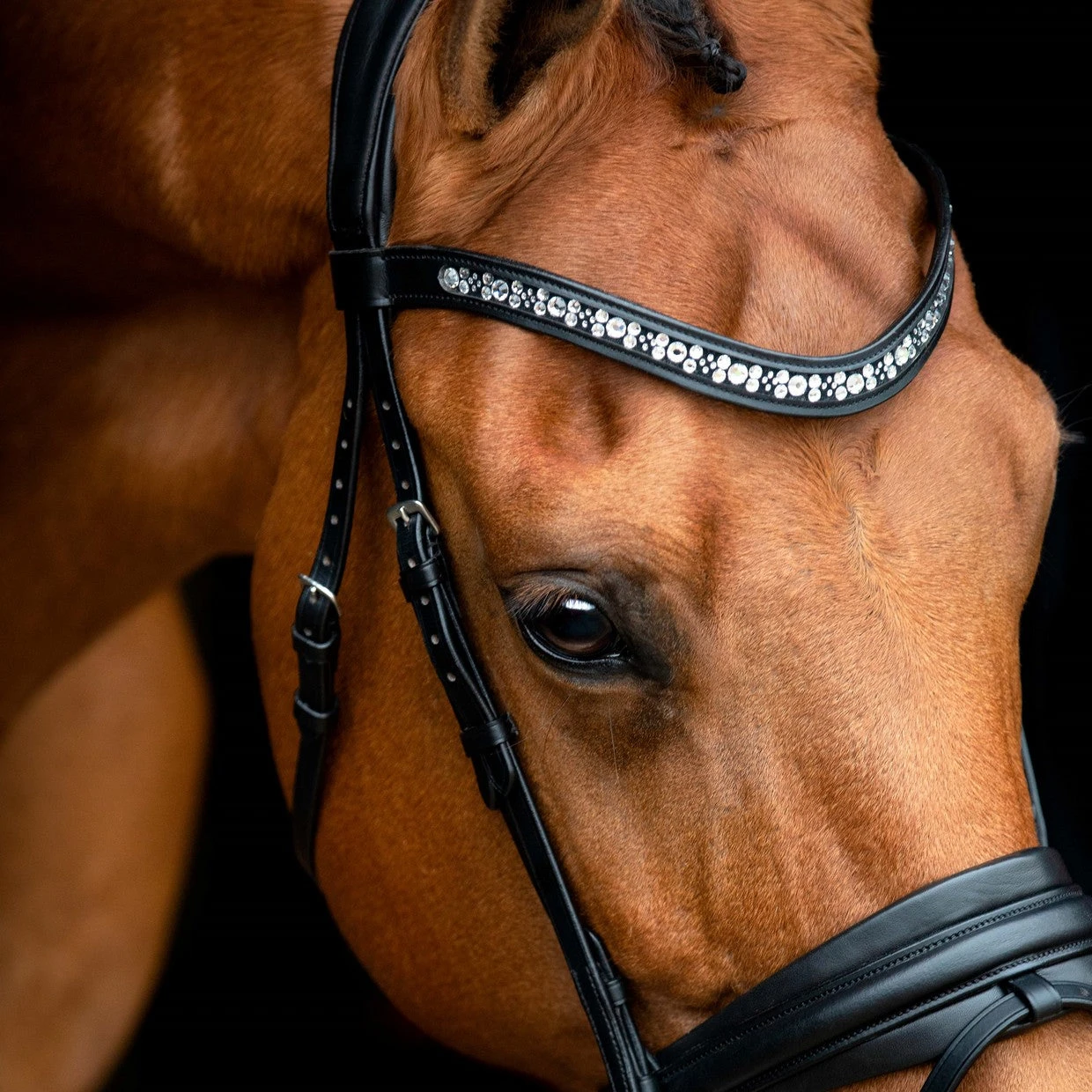 SD Design Vivaldi Browband Clear 2 SD Design Vivaldi Browband Clear - Image 2