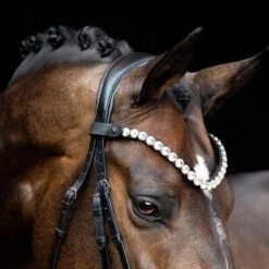 SD Design Valentino Browband Clear 5 SD Design Valentino Browband Clear -Equestrian Supplies R 1385 SD Valentino browband6W