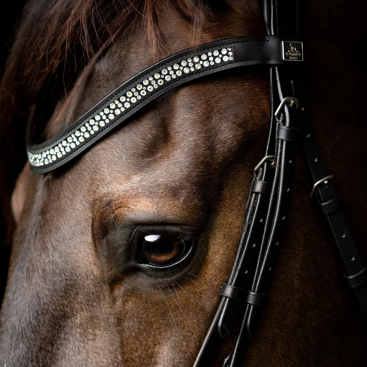 SD Design Bijou Browband Clear 2 SD Design Bijou Browband Clear - Image 2