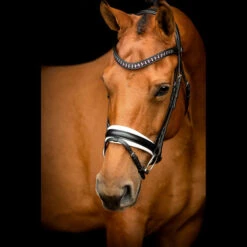 SD Design Vivaldi Browband Amethyst -Equestrian Supplies R 923 SD Vivaldi browband Amethyst4