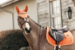 Kentucky Velvet Jump Saddle Pad Orange 10 Kentucky Velvet Jump Saddle Pad Orange -Equestrian Supplies a4f9031824099c7a519f851ac797c55f8a2667369cd80e67f1a0ed8fb7550de4