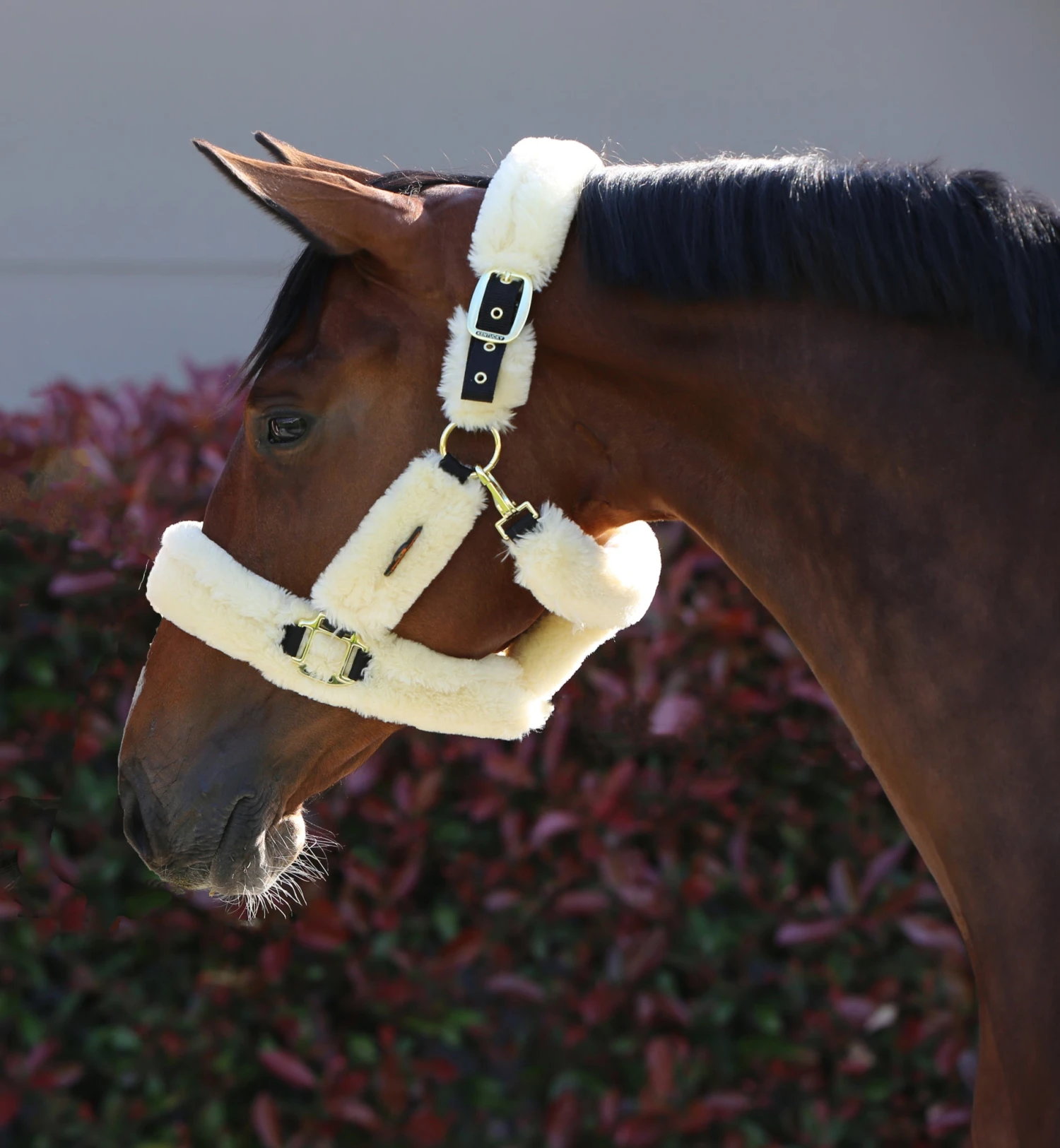 Kentucky Sheepskin Shipping Halter Natural 5 Kentucky Sheepskin Shipping Halter Natural - Image 5