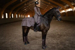 Equestrian Stockholm Exercise Rug Amaranth 5 Equestrian Stockholm Exercise Rug Amaranth -Equestrian Supplies amaran3 2