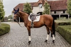 Kentucky Wool Jump Saddle Pad Beige 6 Kentucky Wool Jump Saddle Pad Beige -Equestrian Supplies b171971a69ad168b8cb63d237de551e96315c618909a039ac47ee5219f1d17bb