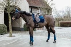 Kentucky Velvet Dressage Saddle Pad Navy 6 Kentucky Velvet Dressage Saddle Pad Navy -Equestrian Supplies b5218072bf431de5a1e41a93925260142641497fcd8b8ba2b2a8173251740457