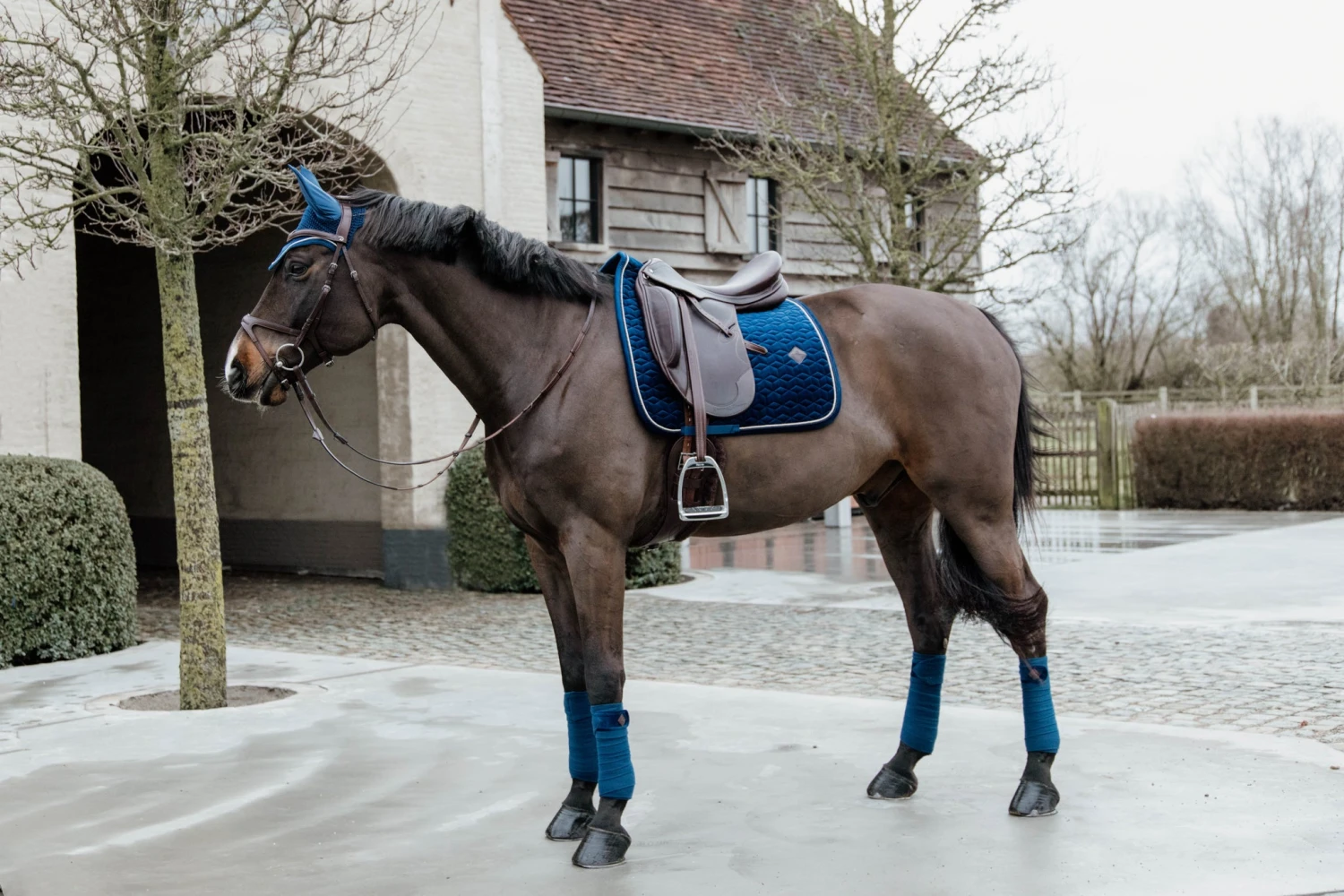 Kentucky Velvet Dressage Saddle Pad Navy 3 Kentucky Velvet Dressage Saddle Pad Navy - Image 3
