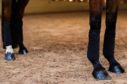 Equestrian Stockholm Bandages All Black Glimmer -Equestrian Supplies black glimmer fleece bandages benlindor bandagen bandages on1