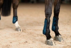 Equestrian Stockholm Anatomic Tendon Boots Blue Meadow -Equestrian Supplies blue meadow tendon boots framskydd peesbeschermers frontschutz on2
